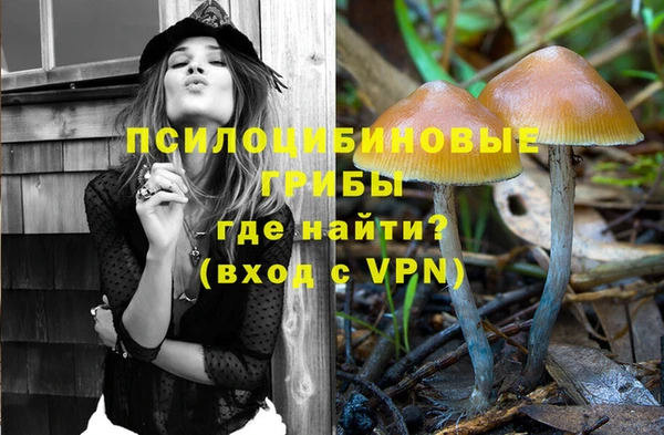 jwh Бородино
